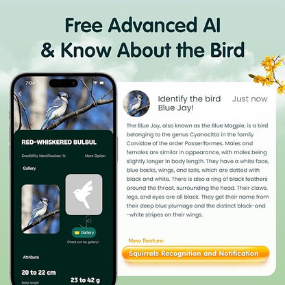 Humbirdy-Bird Feeder with Camera, 8MP Ultra HD Video & Photo, 10x Slow-Motion, 4K 30fps Live View, AI Identify, No Subscription, 2.4G/5G Wi-Fi, Solar Powered, Wildbird Watching Gifts-Metal