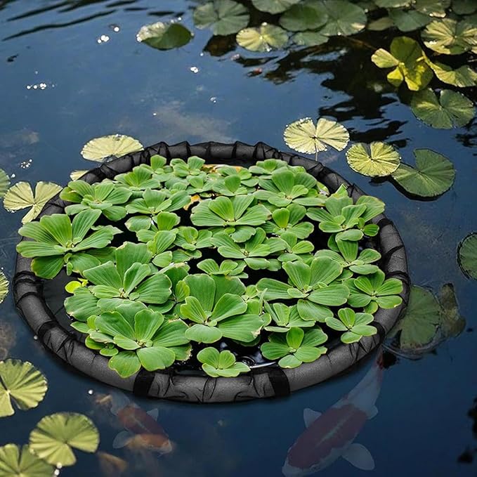 Floating Flora Fish Barrier 25.6" Round Floating Island Plant Protector, Pond Protectors Floating Net, Black Floating Pond Planter for Your Home Pond Protects and Garden Water Features Pond Decor