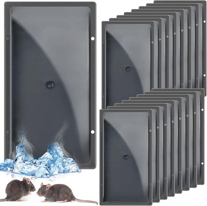Qualirey 16 Pcs Cold Weather Glue Traps Freeze Resistant Sticky Mouse Traps Heavy Duty Safe Pest Control Adhesive Tray Pre Baited Easy to Use Glue Boards for Winter Mice Rat Spider Indoor Home Garage