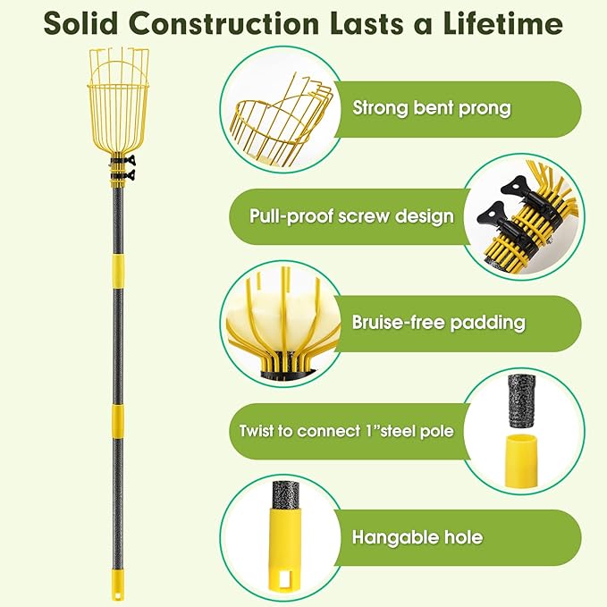 INFLATION Fruit Picker Tool,Apple Picker Pole with Basket,8 FT Adjustable Fruit Picker Pole with Basket Telescoping,Sturdy Basket with Foam Pad for Picking Avocado Acorn Lemon Pear Mango……