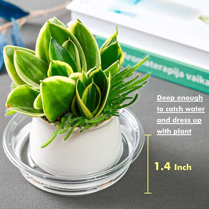 Plant Saucer 50 Pack Plant Trays for Pots 4 Inch Plastic Plant Saucers for Outdoors and Indoors Clear Drip Trays for Potted Plants Flower Pot Plates to Catch Water Plant Drainage Dishes No Holes