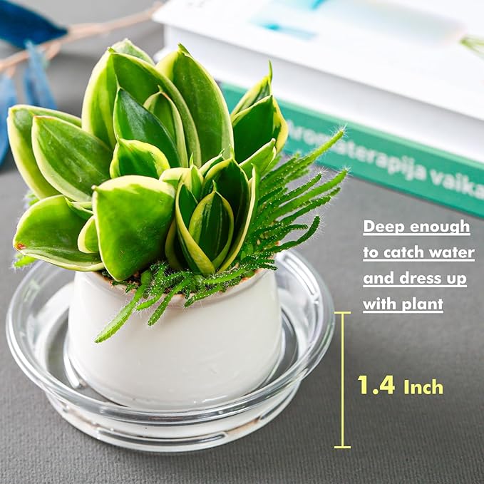 Plant Saucer 30 Pack Plant Trays for Pots 4 Inch Plastic Plant Saucers for Outdoors and Indoors Clear Drip Trays for Potted Plants Flower Pot Plates to Catch Water Plant Drainage Dishes No Holes