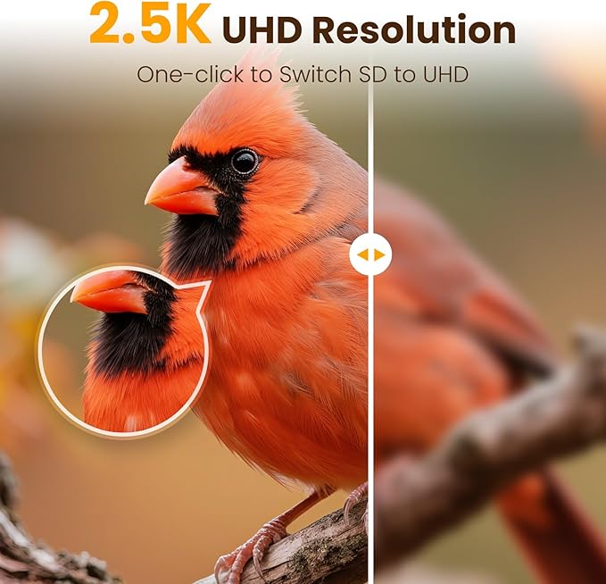 Bird Feeder with Camera, Smart Bamboo Bird Feeder, 2.5K UHD AI Identification, Real-time Videos & Pictures, Wireless Solar Powered Outdoor, Ideal for Garden Birding, Premium Present