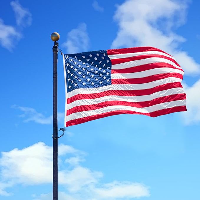 10x15 American Flag for Outside, Heavy Duty Outdoor, All Weather, Embroidered Stars with Brass Grommetss (USA Flag 10X15FT)