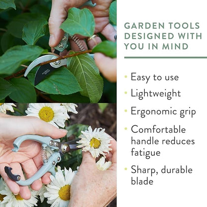 Modern Sprout Hand Pruners & Shears Set with Blister Pack - Lightweight Gardening Tools with Easy Lock - Sharp Carbon Steel Blades -Rust Resistant Scissors for Herbs, Flowers - Lavender