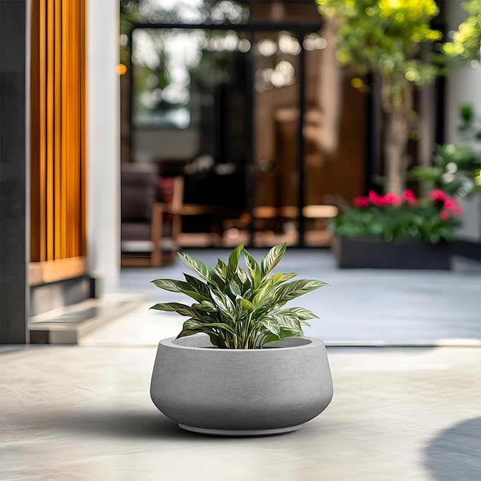 Kante 16.9" Dia Round Concrete Bonsai Planters, Outdoor Indoor Garden Plant Pot with Drainage Hole for Home, Patio, Garden, Concrete Gray