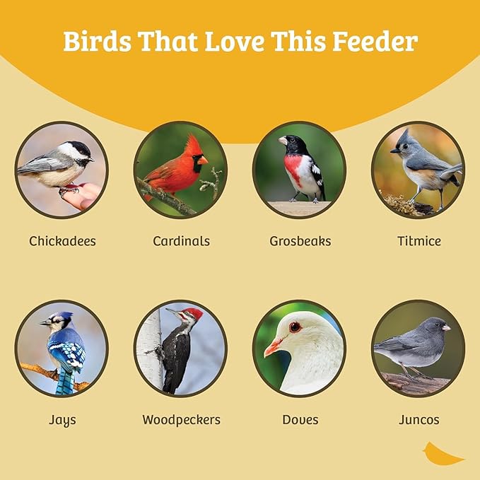 Birds Choice Classic Squirrel Proof Bird Feeder with Pole Mount | Tube Bird Feeder for Cardinals, Chickadees, Woodpeckers | Sturdy Steel for Long-Lasting Use | Backyard Birdseed Dispenser | Green