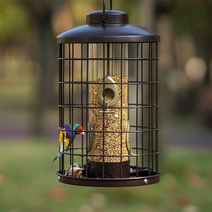 Caged Bird Feeders Metal - 3 Lbs - Squirrel-Proof Wild Bird Feeders, Clear Tube Feeders Hanging Outside Starling Proof, Detachable Cleaning, 4 Feed Ports(Copper)