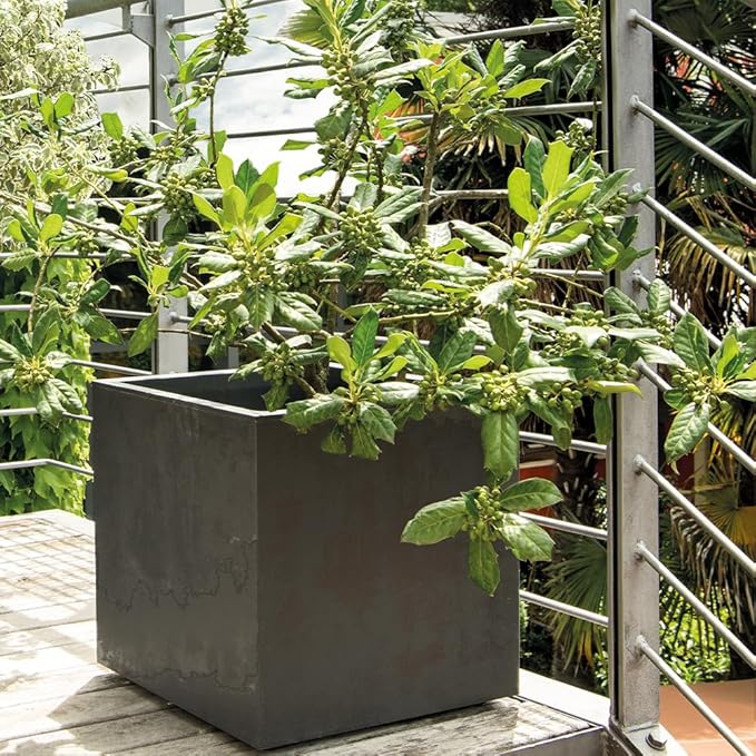 Deroma Millennium 19” Cube | Light & Durable Plastic | Indoor/Outdoor Square Pot for Patio | Water Reserve, Drain Plug Wheels | Trendy Planter for Plants, Flowers, Garden | Black