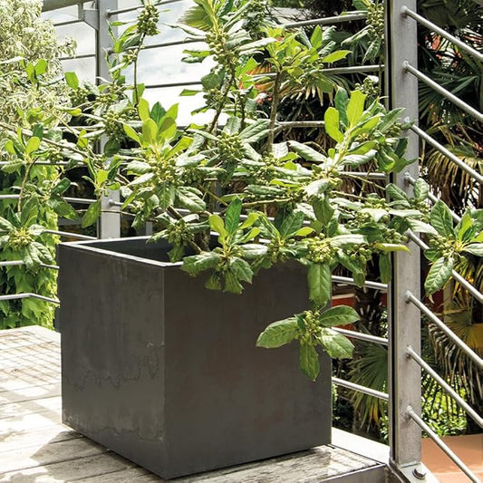 Deroma Millennium 19” Cube | Light & Durable Plastic | Indoor/Outdoor Square Pot for Patio | Water Reserve, Drain Plug Wheels | Trendy Planter for Plants, Flowers, Garden | Black