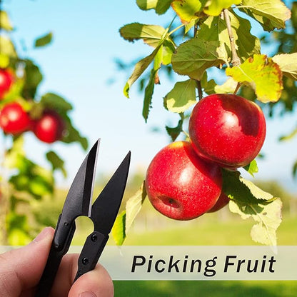 JINJIAN Bonsai Pruning Scissors 12PCS - Small Pruner Shears Bud Leaves Trimmer Garden Shears for Plants, Gardening Clippers for Flower Bonsai Trimming Pruners Trimmers Secateurs(BLACK)