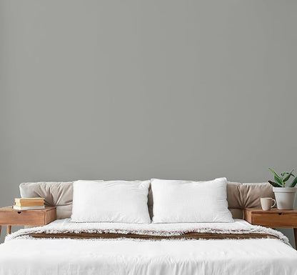 EVOLVE Paint & Primer: Environment-friendly, Low Sheen with One-coat Coverage for Interior & Exterior surfaces (Graphite Gray, 5-Gallon)