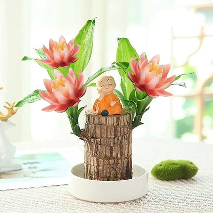 Brazilian Lucky Wood Kit with Monk, Grow Your Own Luck,Easy to Maintain Mini Brazil Woods for Indoor/Outdoor, Bedroom, Kitchen, Office Desk, Garden and Other Decorations (6C)