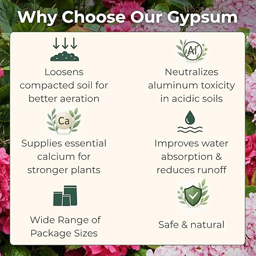 Gypsum for Soil - Calcium for Plants - Gypsum Fertilizer for Gardening, Lawn & Vegetables - Calcium for Garden (3 qts. - 6 lbs.)