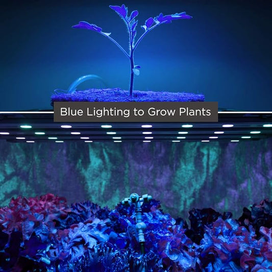 GoodBulb 75W Plant Grow Light Bulb | Blue Grow Light | R30 Shape & E26 Base | High Output Grow Light | Ideal for Indoor Plants Seeds Veg and Flower | Pack of 10 Bulbs