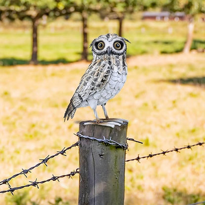 Shorayn Metal Owl Decor Garden Statue Outdoor Sculpture Yard Art for Patio Lawn Backyard Home Decoration Great Gifts