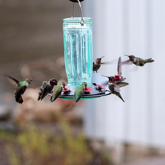Kingsyard Glass Hummingbird Feeder for Outdoors Wild Bird Feeder with 6 Feeding Ports Hanging for Garden Yard, Green (Ant Moat Included)