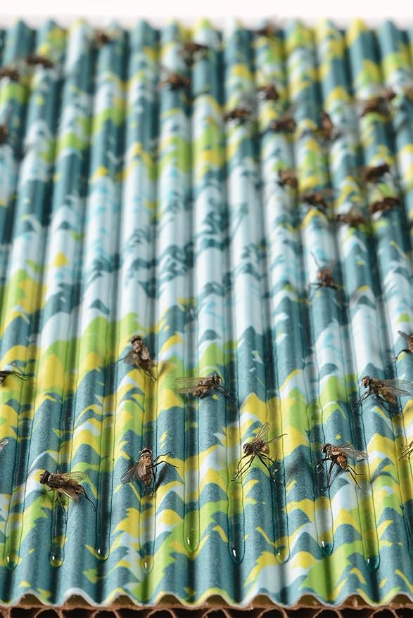 RESCUE! FlyPad – Sticky Fly Traps for Indoor & Outdoor Use - 2 Pack (4 Traps)