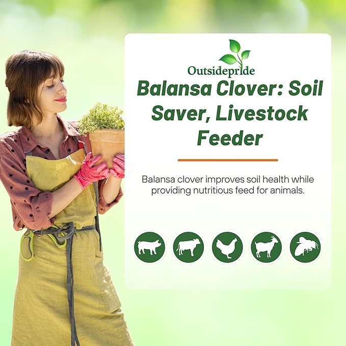 Outsidepride Fixation Balansa Clover Seeds for Lawn - 10 lbs. Coated & Inoculated, Cold Season, Drought Tolerant Cover Crop Seeds, Ideal for Erosion Control, Pasture, & Pollinator-Friendly Garden