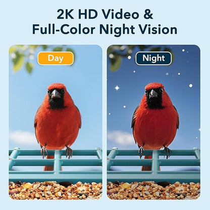 PeckCam® Bird Feeder with Camera Solar Powered, AI Identify & Auto Capture, 2K HD Live Video Smart Bird Feeder Camera Instant Notifications in Backyard, Gift for Bird Lovers