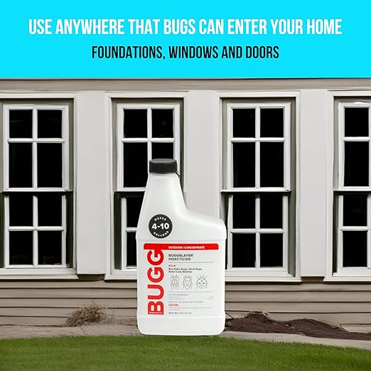 BUGGSLAYER Insecticide - Concentrate - Outdoor Box Elder Bugs, Stink Bugs, Asian Lady Beetles - 16 oz Bottle