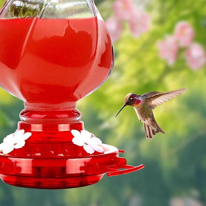 Hummingbird Feeder, BOLITE Glass Hummingbird Feeders for Outdoors Hanging, with Ant Moat and 4 Bee Guard Feeding Ports, 22oz, Leak Proof, Clear & Red