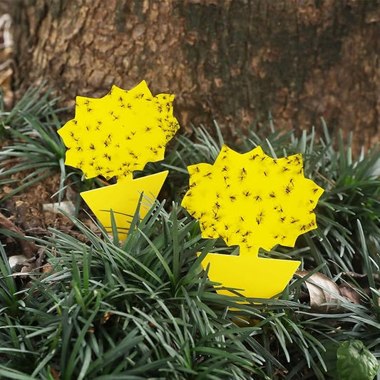 Garsum Fruit Fly Trap Yellow Sticky 18 pcs Fungus Gnat Killer for Indoor and Outdoor Plant Insect Catcher for White Flies,Mosquitos,Fungus Gnats,Flying Insects