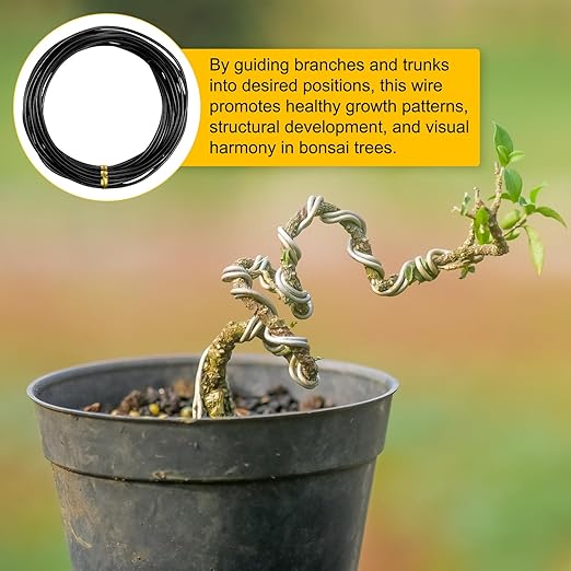 2mm Bonsai Training Wire, 16.4 Feet Total Anodized Aluminum Bonsai Wires for Bonsai Tree Shaping/Branches Fixing/Trunk Holding/DIY Crafting [Black]