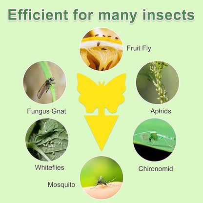 60 Pack Fruit Fly Trap for Indoors, Gnat Traps for House Indoor, Fungus Gnat Killer Sticky Traps for Plants, Bug Pest Insect Catcher Killer