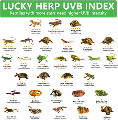 LUCKY HERP 24inch 18W T8 UVB 5.0 Reptile Light, UVA UVB Bulb, Fluorescent Lamp for Reptiles Amphibian
