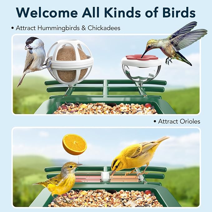 PeckCam® Bird Feeder with Camera Solar Powered, AI Identify & Auto Capture, 2K HD Live Video Smart Bird Feeder Camera Instant Notifications in Backyard, Gift for Bird Lovers