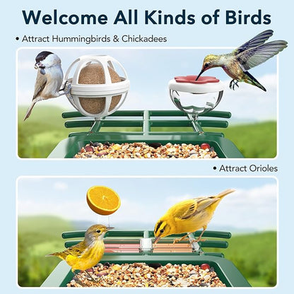 PeckCam® Bird Feeder with Camera Solar Powered, AI Identify & Auto Capture, 2K HD Live Video Smart Bird Feeder Camera Instant Notifications in Backyard, Gift for Bird Lovers