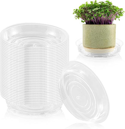 40 Pack 6 Inch Plant Saucer Clear Plant Saucers for Indoors Flower Pot Saucers Small Plants Plate Dish Succulent Pot Saucer Plants Trays for Pots Bulk Plastic Tray for Flower Cactus Nursery Pots