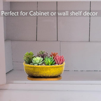 Succulent Pots, 7.9 Inch Long Rectangular Succulent Planters with Drainage Tray, Shallow Planters for Indoor Plants Ceramic Cactus Pots Glazed Bonsai Flower Plant Container for Home Windowsill Decor