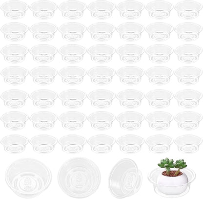 Plant Saucer 50 Pack Plant Trays for Pots 4 Inch Plastic Plant Saucers for Outdoors and Indoors Clear Drip Trays for Potted Plants Flower Pot Plates to Catch Water Plant Drainage Dishes No Holes