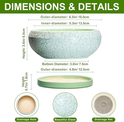 Succulent Pot 6 Inch - Ceramic Bonsai Pots Indoor Outdoor, Shallow Plant Pots with Drainage Hole and Saucer, Small Bonsai Planter, Round Bowl Planter, Desk Decor, Housewarming Gifts, Green