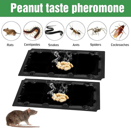 20 Pack Sticky Mouse Trap Rat Traps Indoor, Peanut Taste Pheromone Mouse Traps Indoor for Home, Glue Sticky Traps for Mice and Rats, Snake(Large Size)