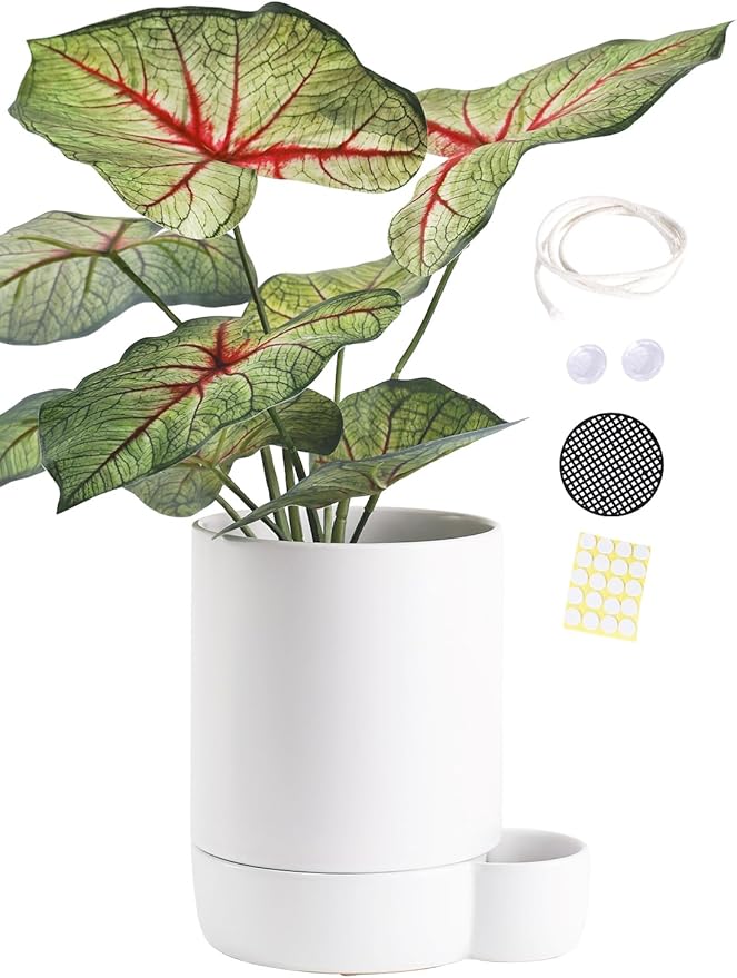 5.5 Inch Ceramic Self Watering Planters with Absorbent Cotton Rope, Cylinder Round Flower Pot for Succulent, Herbs, African Violets, White, 1 Pack