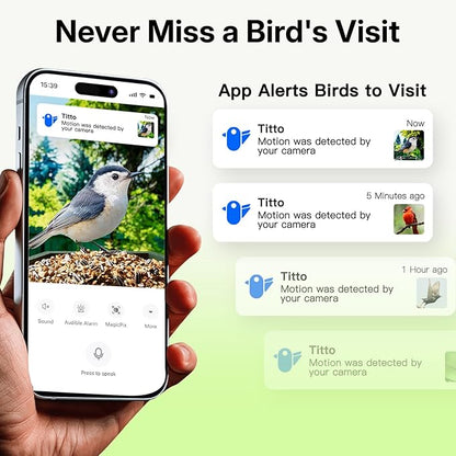 Kingsyard by Titto Solar Smart Bird Feeder with Camera, Bird Feeder Camera with AI Identify Birds Species & 2K HD Live View, Auto Capture Videos, Green (Pole Included)