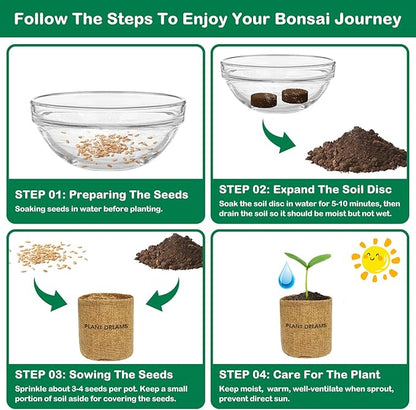Bonsai Tree Kit, Complete Bonzai Tree Starter Kits with Tools, Unique DIY Gardening Gifts for Mom Women Men, Crafts Hobby Kits, Grow Bonsai Tree Live Indoor