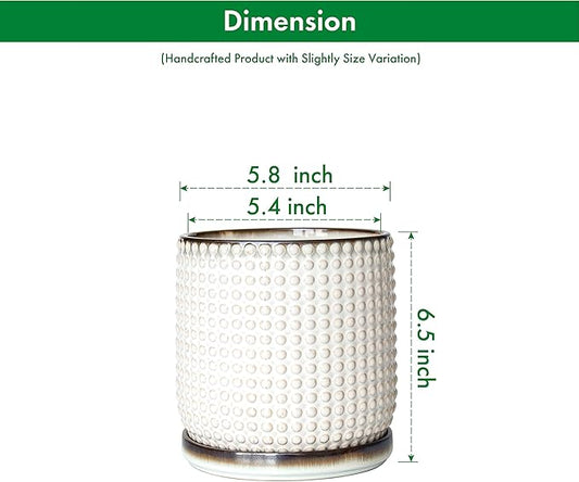 D'vine Dev Set of 2 Ceramic Plants Pots, 6 Inch Beaded Stoneware Flower Pot for Plants with Drainage Hole and Saucer, Smoked White, 27-E-X-1