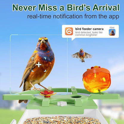 Smart Bird Feeder with Camera, AI Identify & Auto Capture, 2K HD Live Video Bird House with Camera, Instant Arrival Alerts, Cloud Storage Videos, Ideal Gift for Bird Lovers