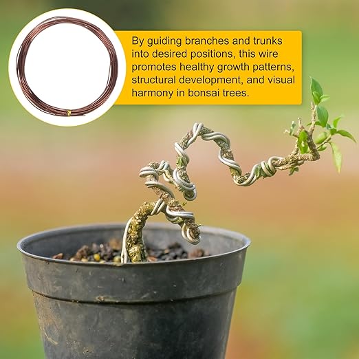 2-Rolls 1mm Bonsai Training Wire, 32.8 Feet Total Anodized Aluminum Bonsai Wires for Bonsai Tree Shaping/Branches Fixing/Trunk Holding/DIY Crafting [16.4ft Each, Bronze]