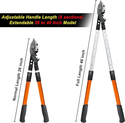 Loppers for Tree Trimming Heavy Duty, 26-40 Inch Handle Telescopic Tree Trimmer, Sync Drive Power Lever Pruner, 2 Inch Branch Cutter