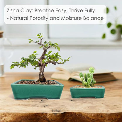 Set of 2 Zisha White Clay Bonsai Pot Glazed Shallow Succulent Planter Green