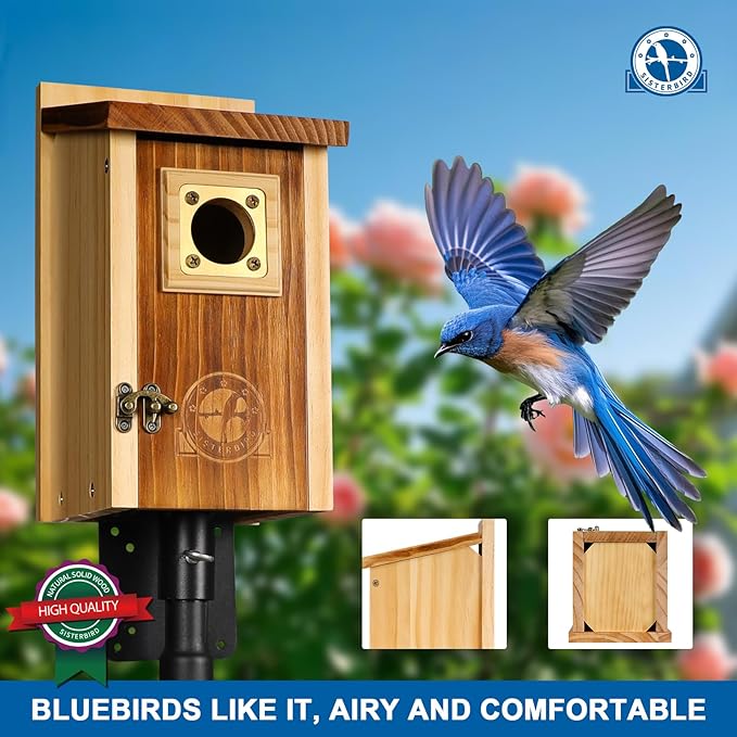 Pack of 2 Bluebird Houses for Outside, Premium Wooden Bird Houses for Outdoor, Weatherproof Blue Bird House, Bluebird Swallow Chickadee Wren, Assembly Required