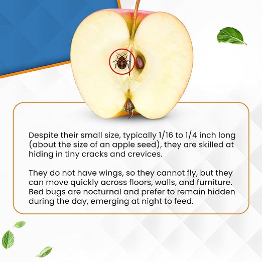 Natural Bed Bug Killer Spray – 4 Gallon Value Pack (512oz) – Child & Pet Friendly, Non-Toxic Pest Control for Mattresses, Hotels, Vehicles, Offices, Furniture & Carpets