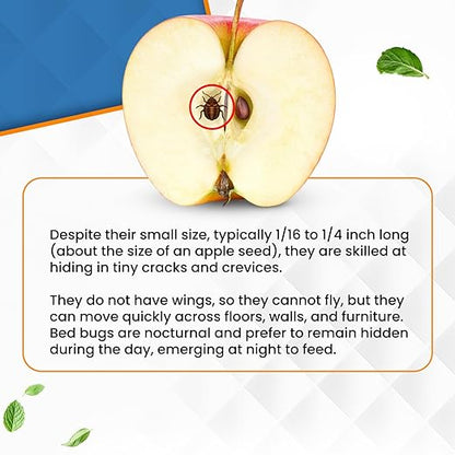 Natural Bed Bug Killer Spray – 4 Gallon Value Pack (512oz) – Child & Pet Friendly, Non-Toxic Pest Control for Mattresses, Hotels, Vehicles, Offices, Furniture & Carpets