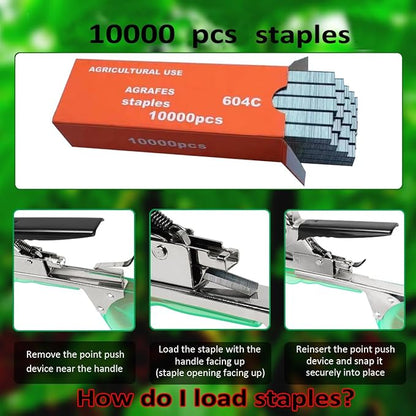 20Rolls of 100 Feet tie Tape and 1 Box of Staple (10000 PCS Staples) for Plant Tying Machine,Plant Tape for Climbing Plants, Grapes, Raspberries, Tomatoes and Vining Vegetables Flowers-Blue