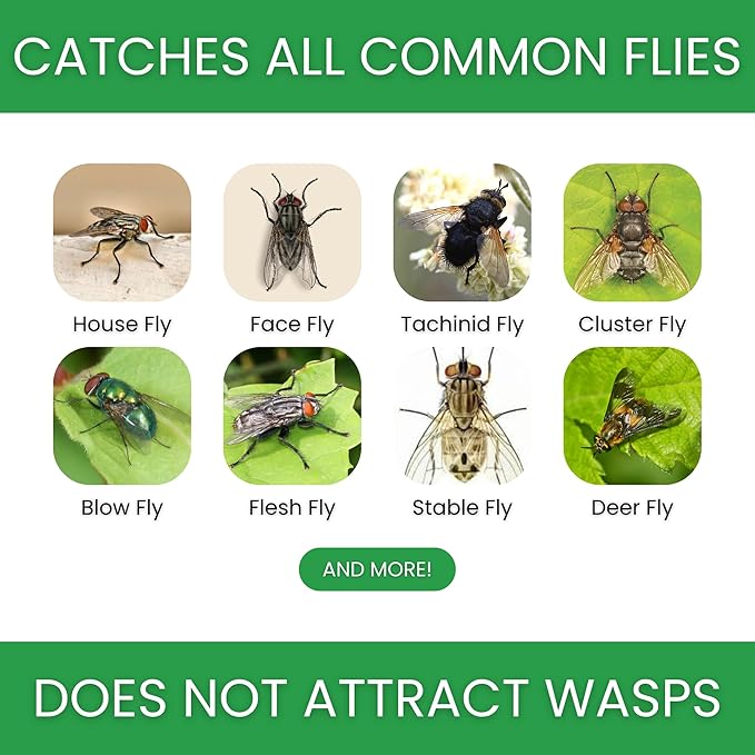 Flybuster Fly Trap | Outdoor Device for Catching Flies | 10-Liter Commercial Size (2-Pack) | Comes with Two Flytraps and 4 Bait Packets | 2,000,000 Fly Capacity | Non-Toxic | Child & Pet Safe